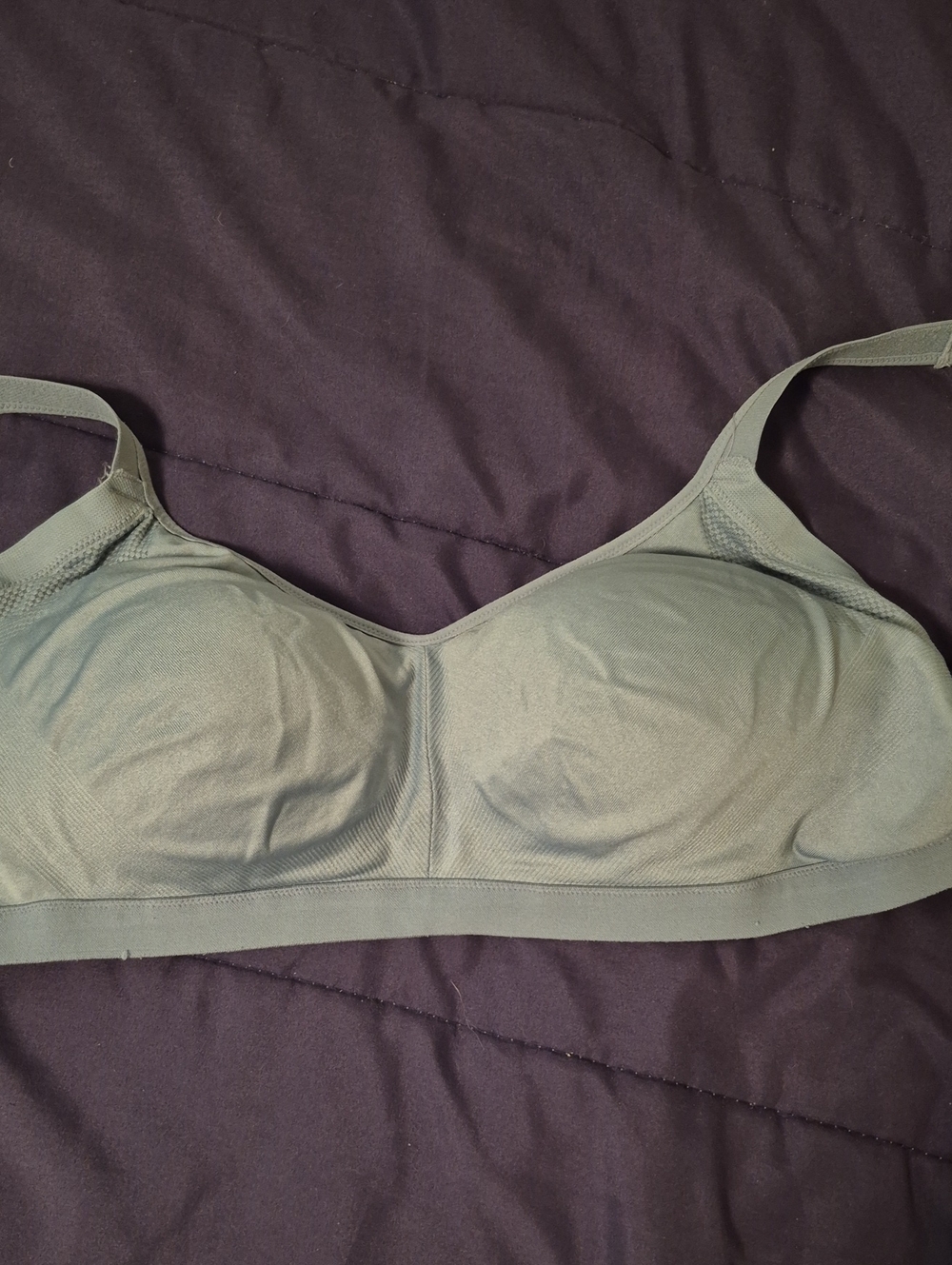 Warner's Blue Seamless Wireless Bra